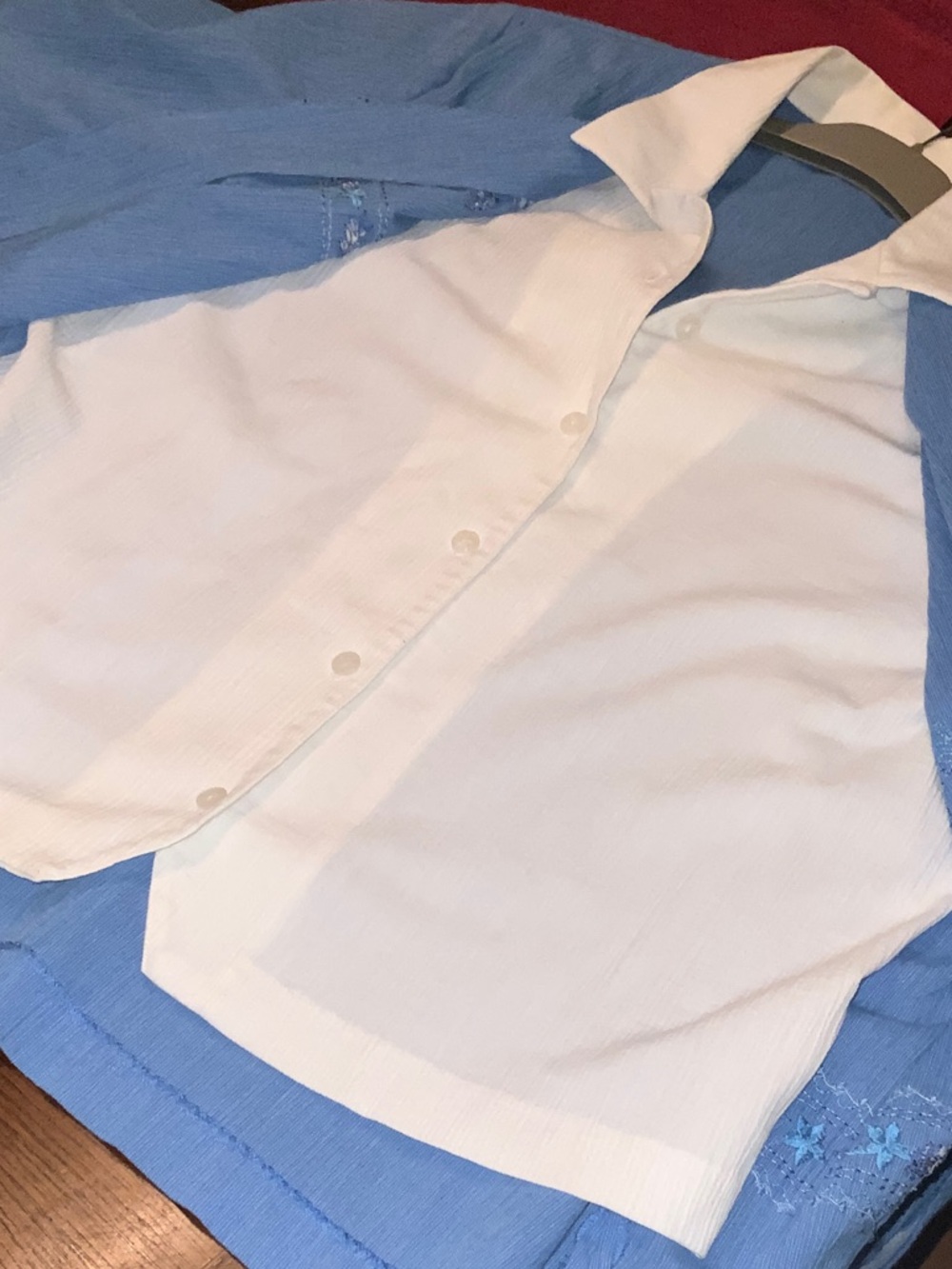 🤩Add-on🤩Alia Blue Embroidered Button-Up Shirt with White Placket - Picture 11 of 12